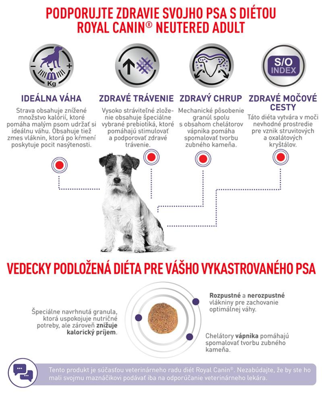 vhn-neutered-adult-small-dog-12